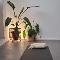 Free Menopause Wellbeing Taster Morning