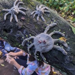 DRAMA IN THE WOODS • OCTOBER HALF TERM • YOULBURY, OXFORD