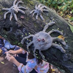 DRAMA IN THE WOODS • OCTOBER HALF TERM • BOUNDS GREEN SCOUT PARK