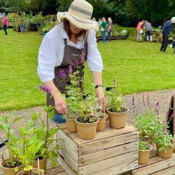 Plant Fairs Roadshow- West Dean Gardens, Autumn Plant Fair