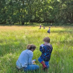 Fun in the Forest (and Meadow!)