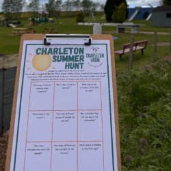 Charleton Summer Hunt & Charleton Challenge