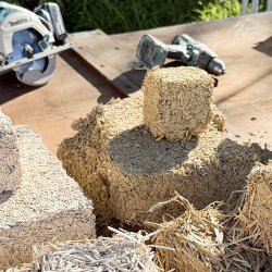 Taking Root: Weaving the Roadmap for Bio-Based Building