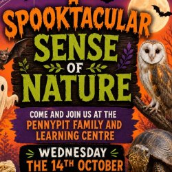 A Spooktacular Sense of Nature