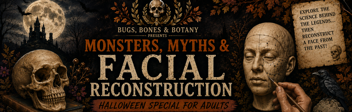 Adults Facial Reconstruction: Halloween Edition 30th October