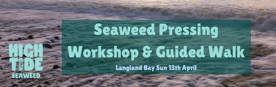 Seaweed Pressing Workshop & Guided Walk