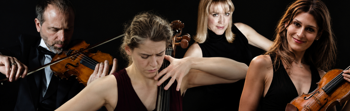 Wyrick-Nowik-Nickrenz Ensemble - strings and piano  - 10:30am Concert with Popovers