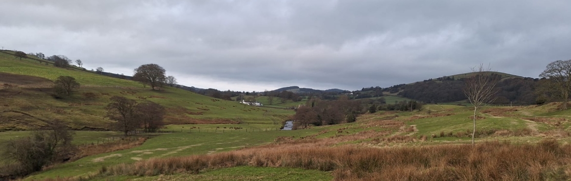 Guided Walk @ Barrowford
