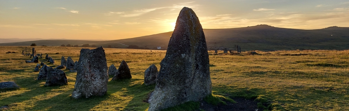 Walk in the Wild Dartmoor