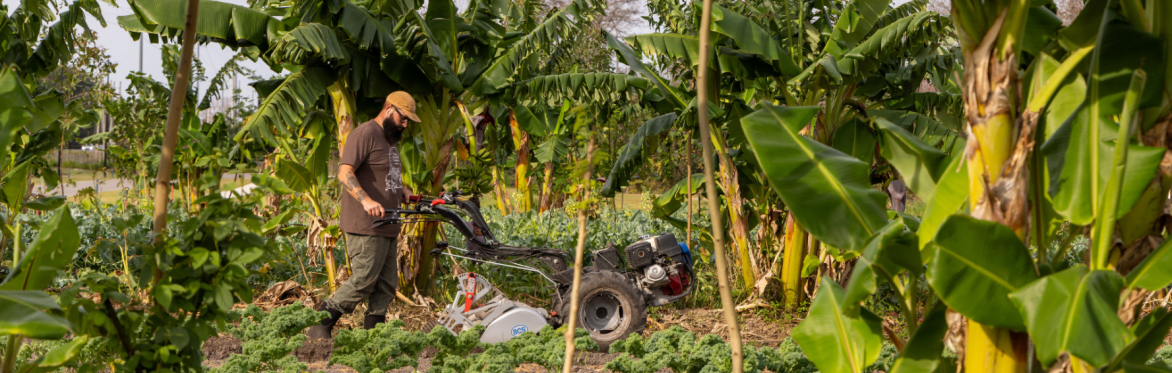 Food Forest Foundations: An Immersive Half-Day Workshop