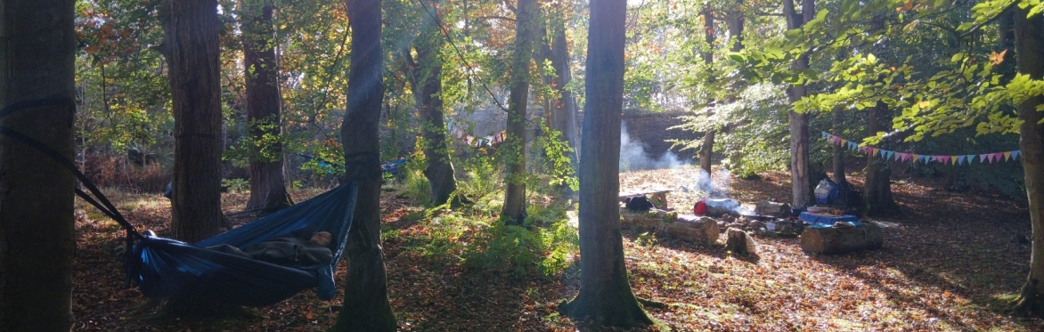 Forest Bathing with Breathwork, Meditation and Cacao at Minsteracres