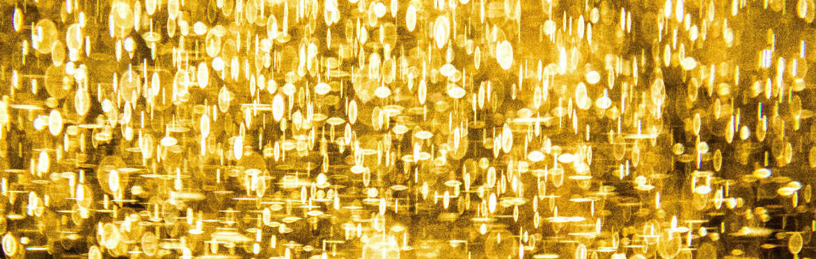 Early Night Club  - WE ARE GOLDEN!