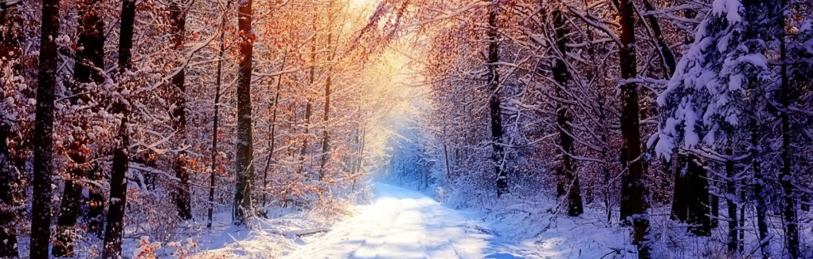 Seasons and Affections