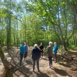 Qigong & Nature Connection in the Woods -  A Celebration of Summer
