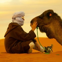 From Exhausted to Empowered - Sahara Desert in Morocco