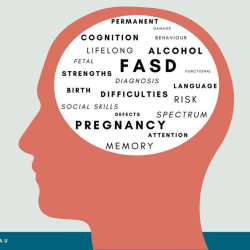 Understanding FASD from a Carer's Perspective