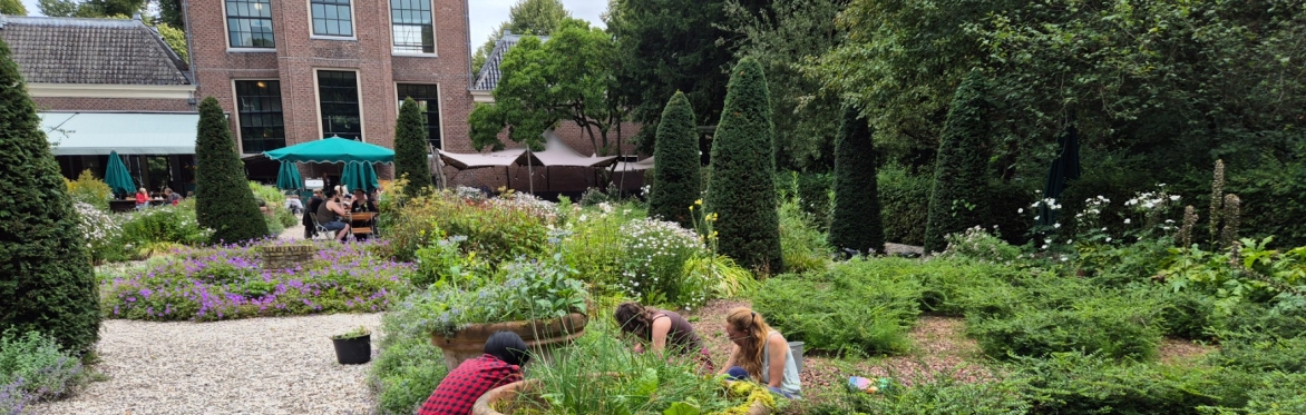 Garden with Locals in Amsterdam