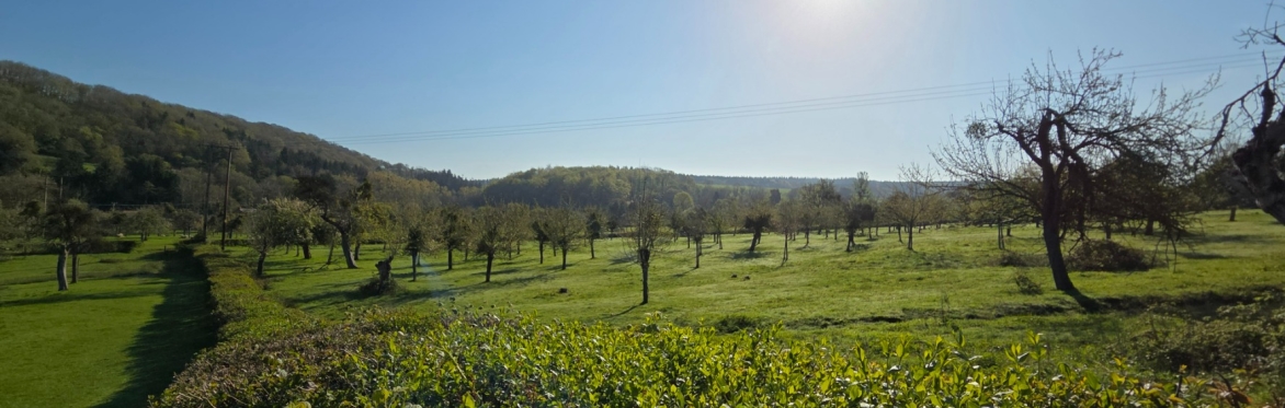 Herefordshire's Hidden Gems - wildlife & history around Mordiford