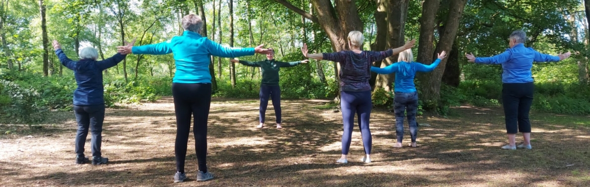Qigong & Nature Connection in the Woods - Welcoming Autumn