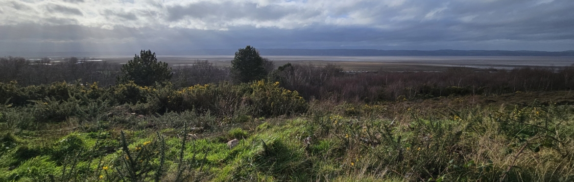 Heswall Dales Invertebrate Recording Day