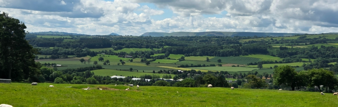 Family walk: Arthur's Stone and the Golden Valley