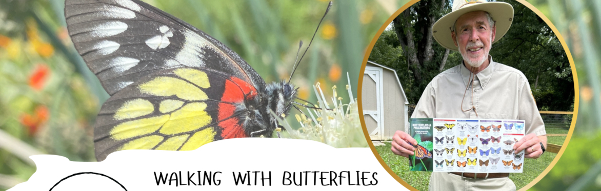 Walking with Butterflies
