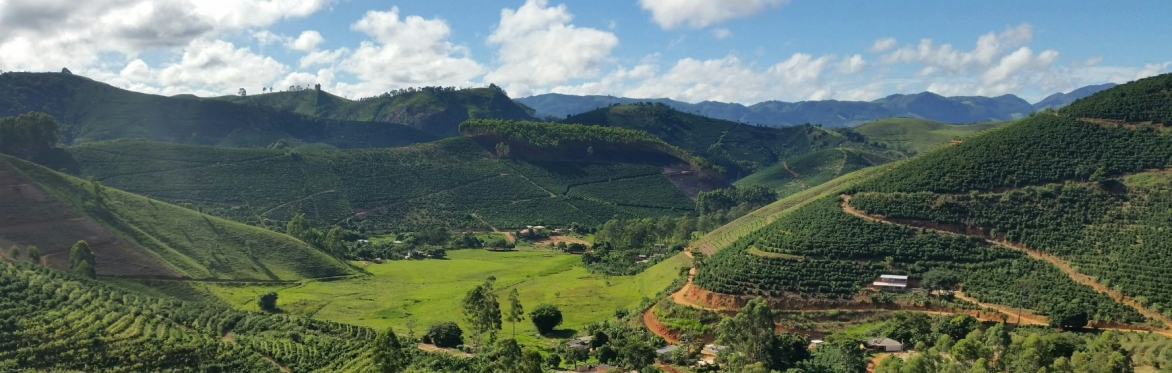 C20 Global Coffee Sustainability Summit