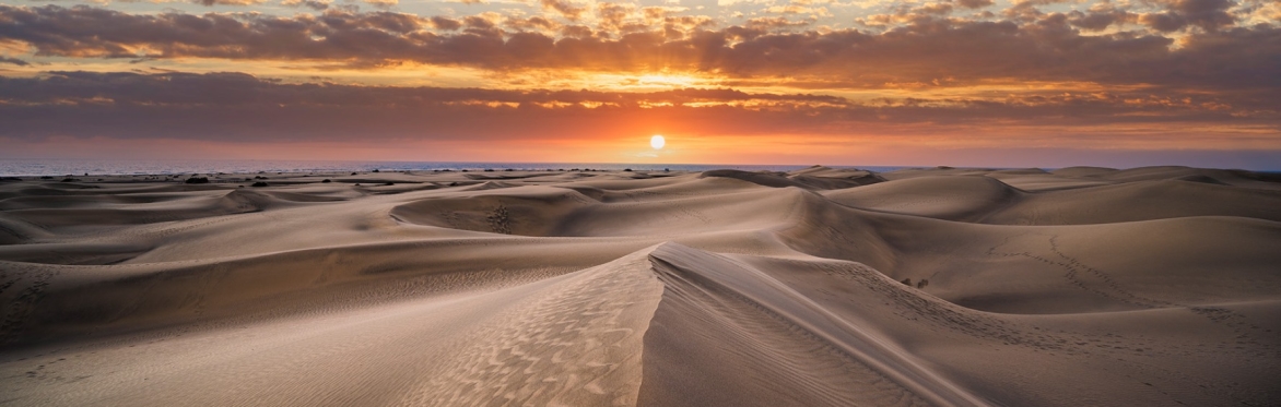 Mindful Horizons - A Sunset Beach Self Awareness Experience - Closing Ceremony