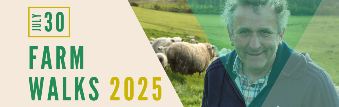 Farm Walks 2025 - Roy Mayers: Using clover swards to minimise inputs - Shared Island Initiative