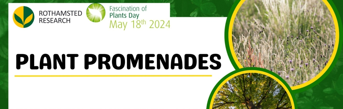 Plant Promenades for Fascination of Plants Day