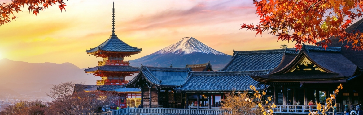 A Taste of Global Japanese Cuisine