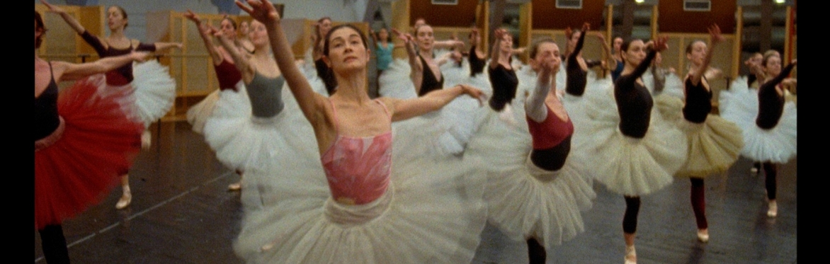 A still image from the film.