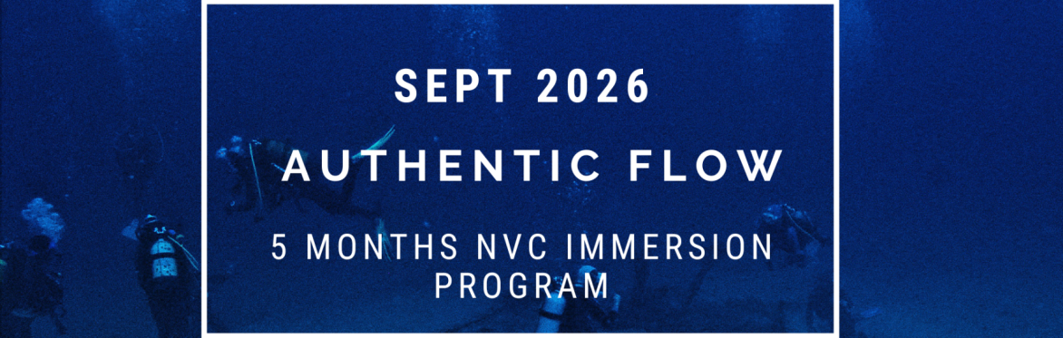 Authentic Flow - A 5-Month Journey of Integration, Transformation and Connection