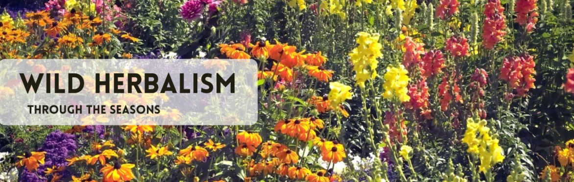 A Wild garden
