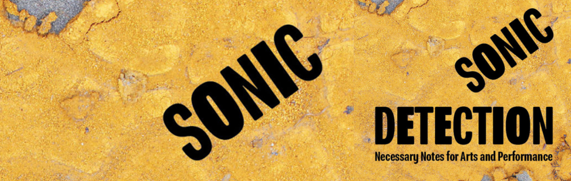 Book Launch: Sonic Detection