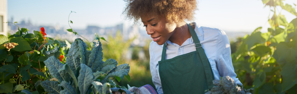 Overcoming Biases in Access to Farmland Capital: Introducing the African Canadian Farmers Fund