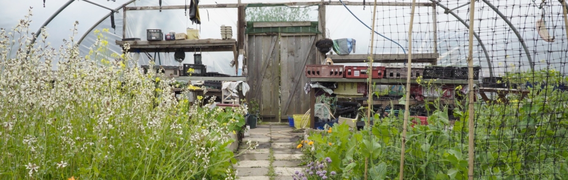 Food Growing & Social Justice - Talk & Workshop hosted by Propagate Scotland