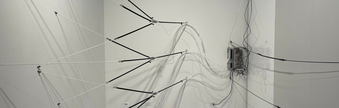 Who Cares For the Cyborg?: Flagship Curator Tour