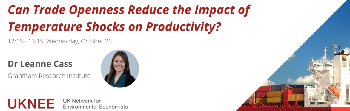 Can Trade Openness Reduce the Impact of Temperature Shocks on Productivity? An Empirical Assessment