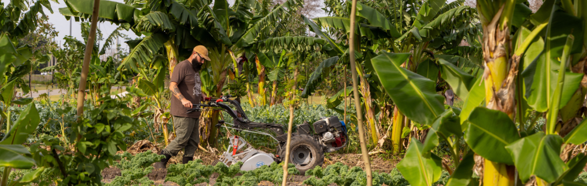Food Forest Foundations: An Immersive Half-Day Workshop