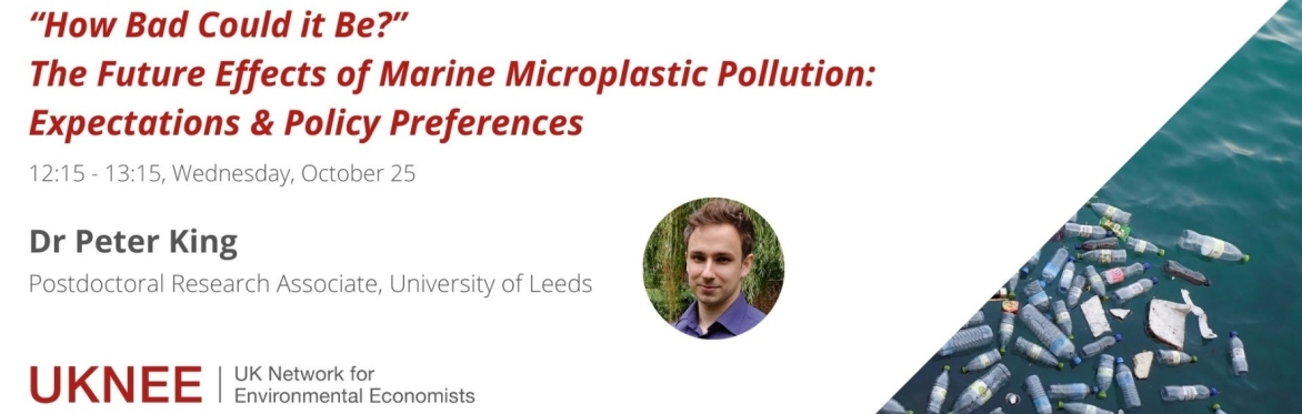 "How bad could it be?" Expectations about the future effects of marine microplastic pollution and policy preferences