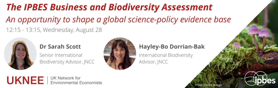 The IPBES Business and Biodiversity Assessment