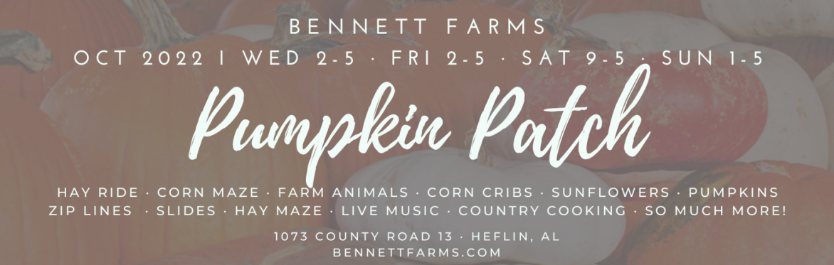 Bennett Farms Pumpkin Patch