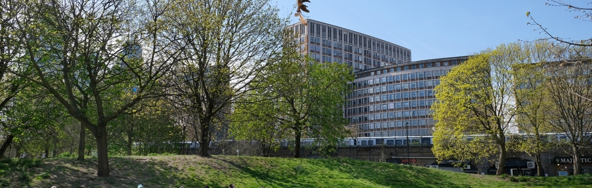 Plane Trees with UTF Logo