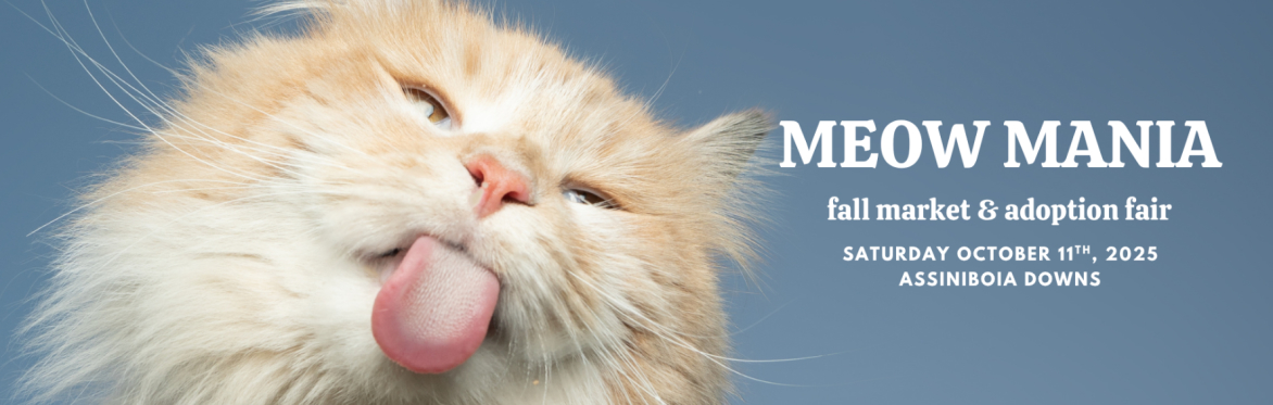 Meow Mania Fall Market & Adoption Fair