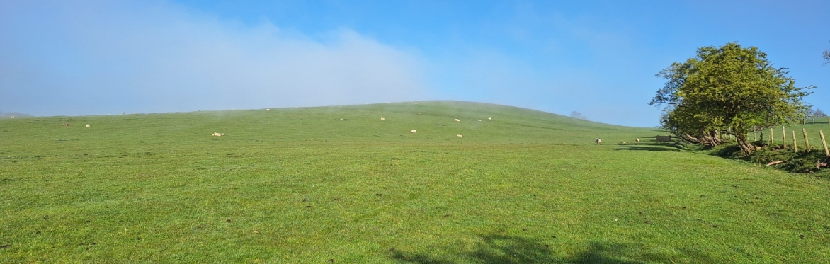Guided Walk @ Barnoldswick