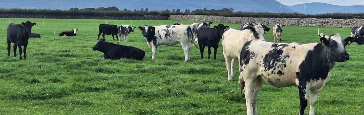 Winners' Farm Walk 2026