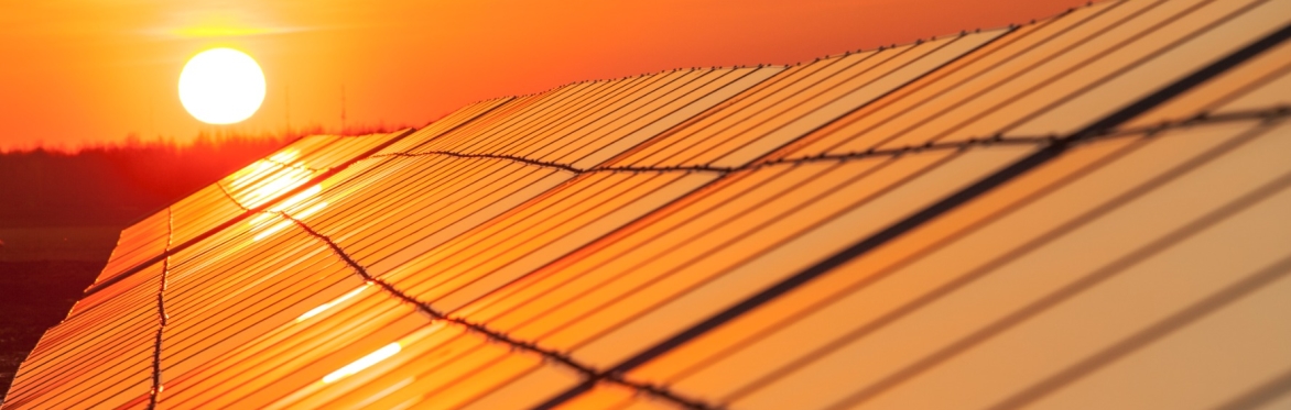 Energy Cafe: I burn so you don't have to