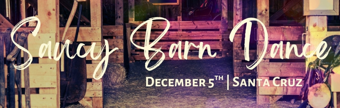 Saucy Barn Dance! 🤠✨ Live String Band and more