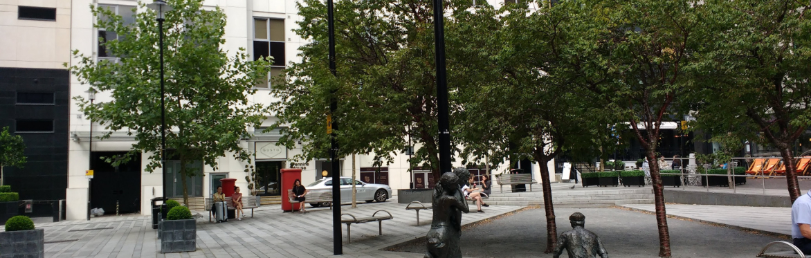 Leeds City Centre Trees: A Tour